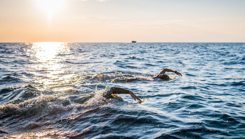 Two people swimming in the sea