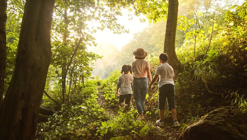 Family hiking through the woods 