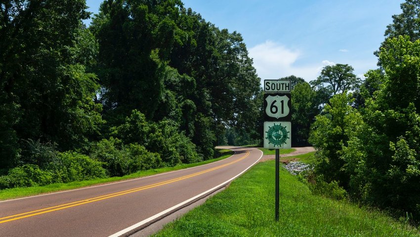 Road surrounded by green 