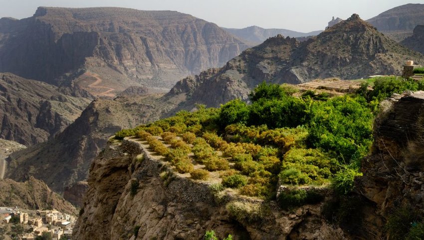 Overview of Jebel Akhdar, rose harvesting, fruit farming