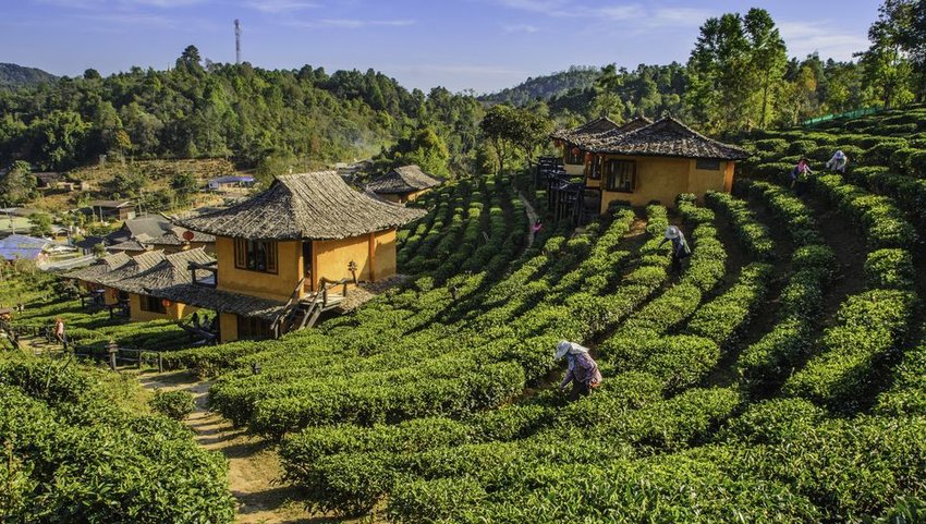 Farm stay with yellow buildings and people working 