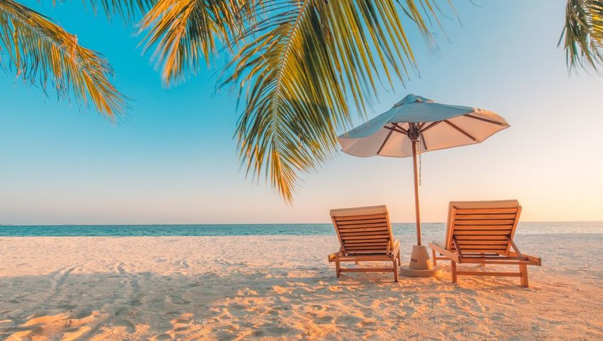 Lounge chairs on the beach 