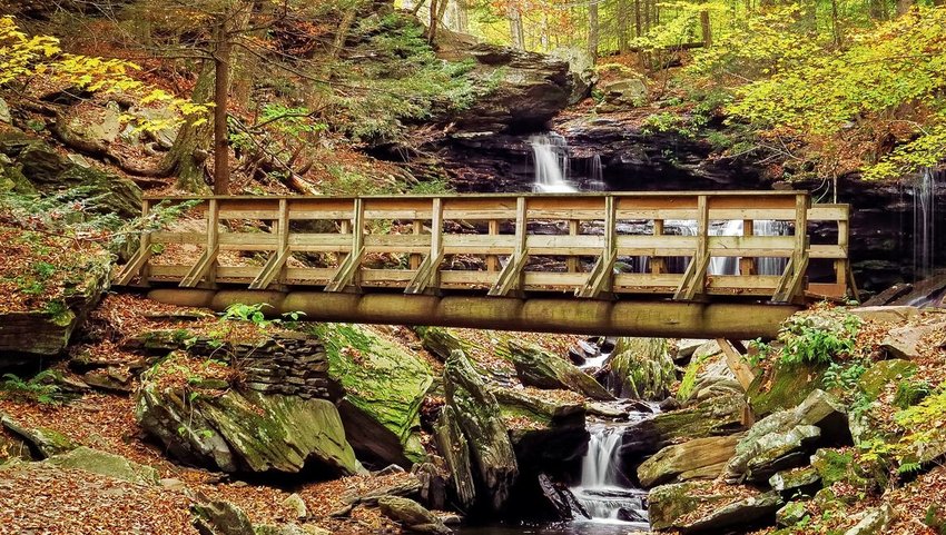 Autumn colors on the falls trail at Ricketts Glen State Park in Pennsylvania