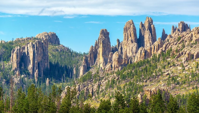 View of Cathedral Spires rock formation in Custer State Park with trees all around 