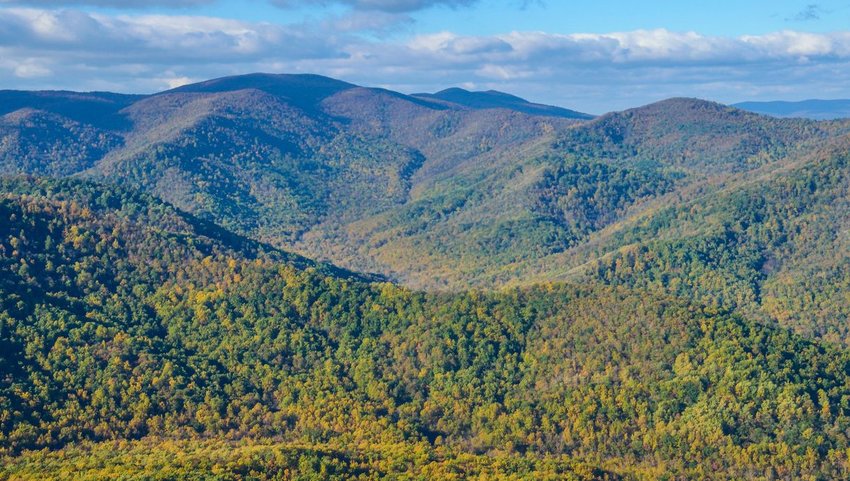 Old Rag Mountain view in Shenandoah, Virginia with yellow and golden orange foliage on forests