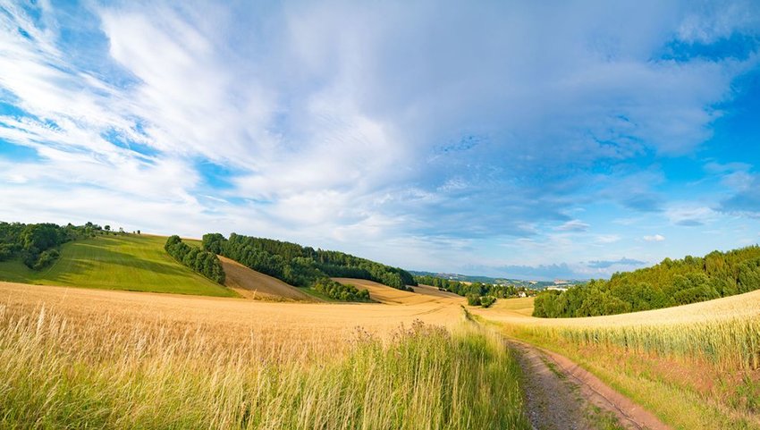 Kansas field