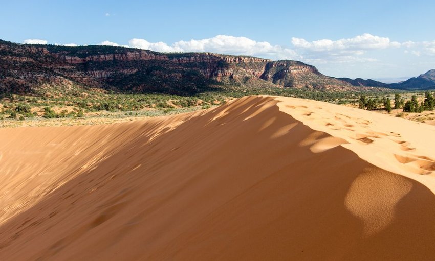 10 Best Sand Dunes in the US for Outdoor Adventure – Bearfoot Theory