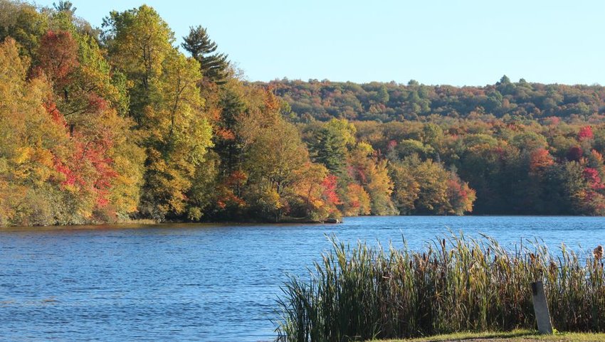 Wawayanda State Park in New Jersey with view of lake in autumn