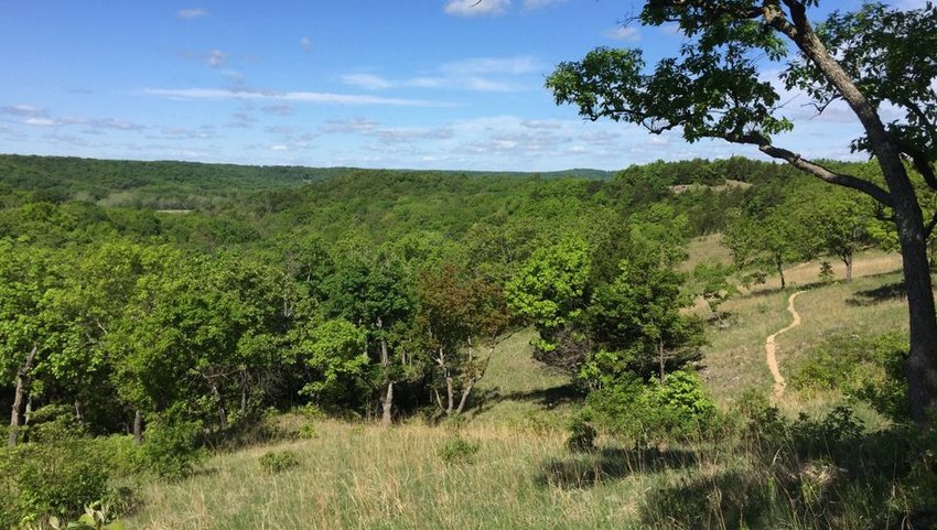 Trail through the Ozarks in Missouri