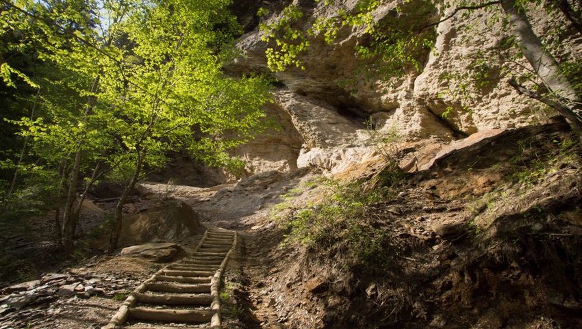 Stairs leading up to Alum Cave Bluff