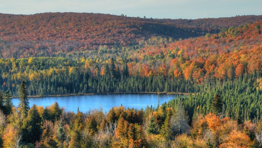 Oberg Mountain via Superior Hiking Trail