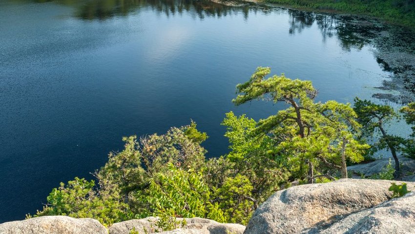 Long Pond shoreline from granite cliff on Long Pond Woods Trail in Hopkinton, Rhode Island