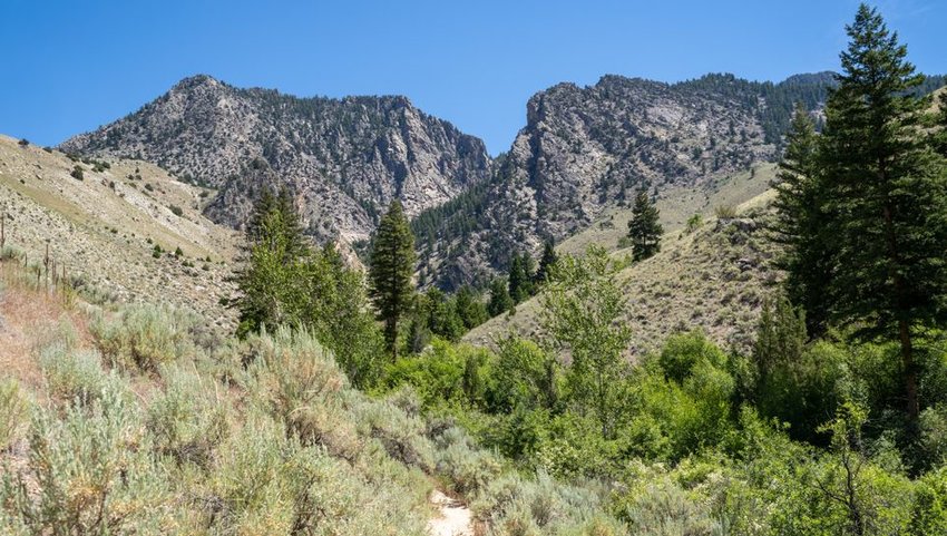 Dirt hiking trail leading to the Goldbug Hot Springs in Idaho Salmon-Challis National Forest