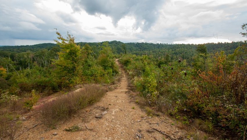 Knobstone Trail in Indiana