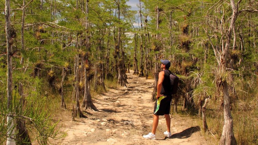 Person hiking in Big Cypress National Preserve, FL