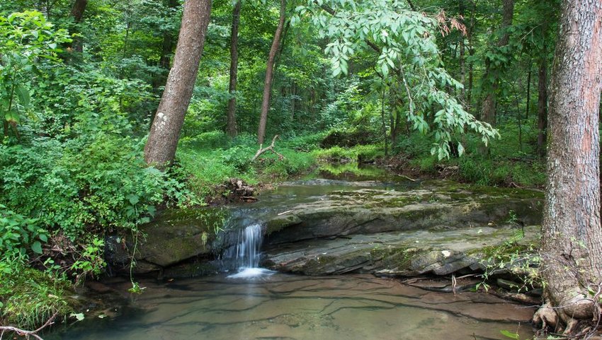 Creek through Shawnee National Forest, Illinois