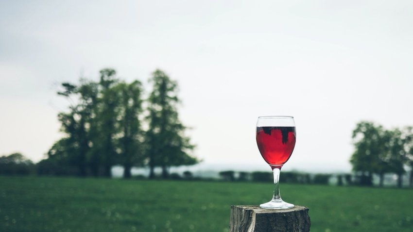 9 Countries With Surprisingly Rich Wine Traditions