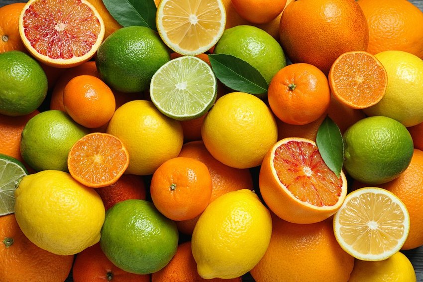 Citrus fruits. Photo: New Africa