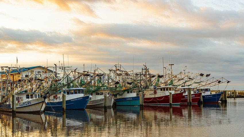 Shrimp boats in Biloxi, Mississippi