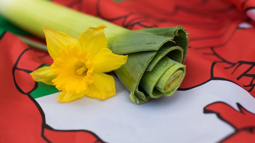 How To Celebrate St. David's Day, Wales' National Holiday | The Discoverer