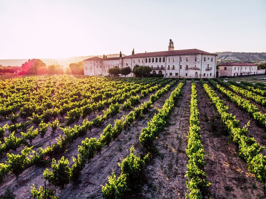 10 Wineries Around the World With Stunning Views