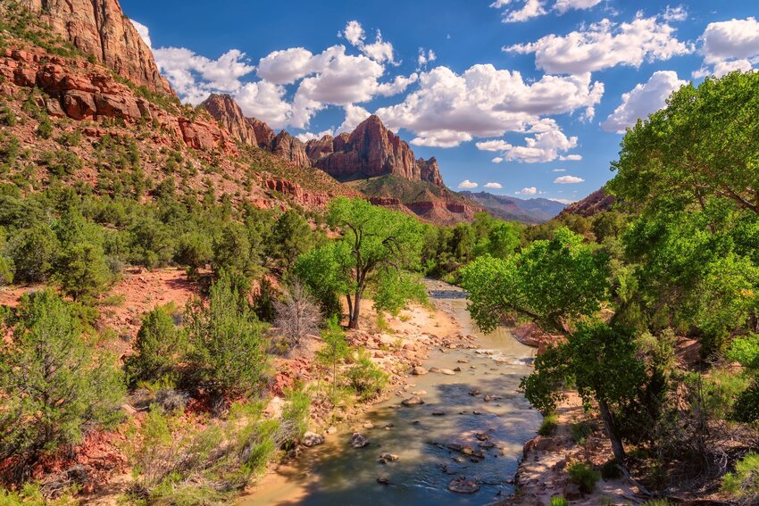 7 Best Hikes at Zion National Park | The Discoverer