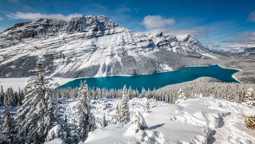 An aerial view of Peyto Lake in BANFF.