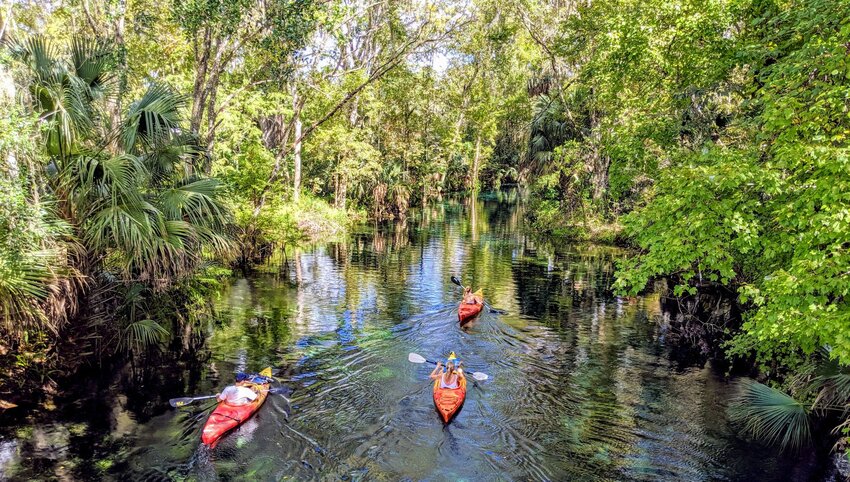 Kayakers in Ocala, Florida. 