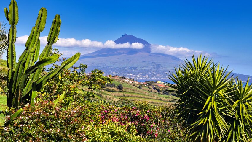 A view of Mount Pico in Faial.