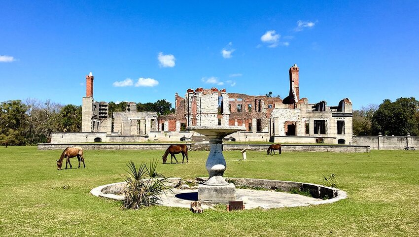 Wild horses in front of Dungeness ruins, old Carnegie mansion on Cumberland Island.