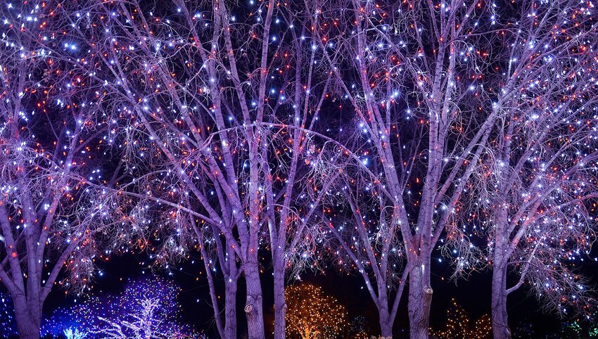 The Most Extravagant Holiday Light Displays in the U.S.