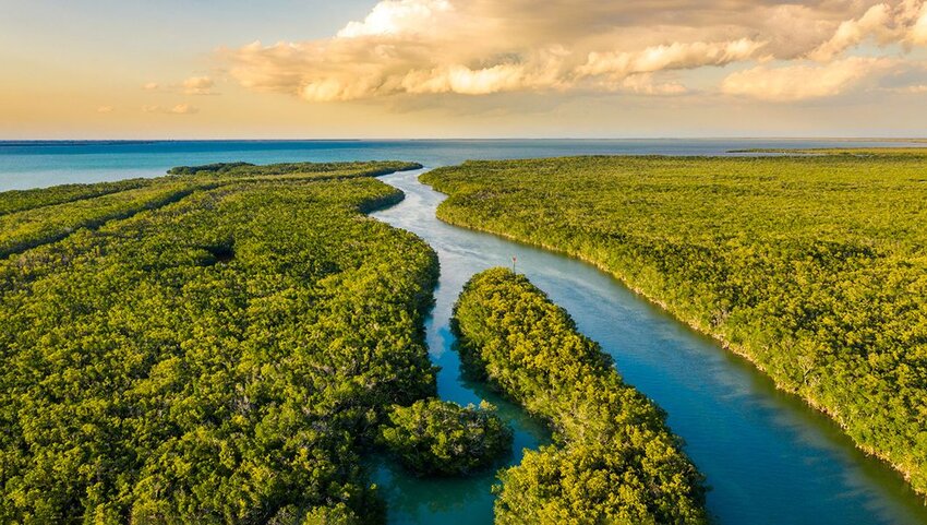 Nhìn từ trên không của vùng đất ngập nước ở Công viên Quốc gia Everglades vào lúc hoàng hôn.