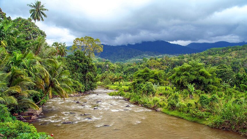 Dòng sông chảy qua rừng nhiệt đới ở Sumatra.