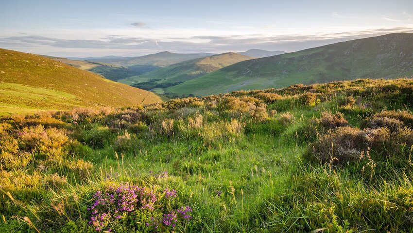 A view of Wicklow National Park in Ireland.