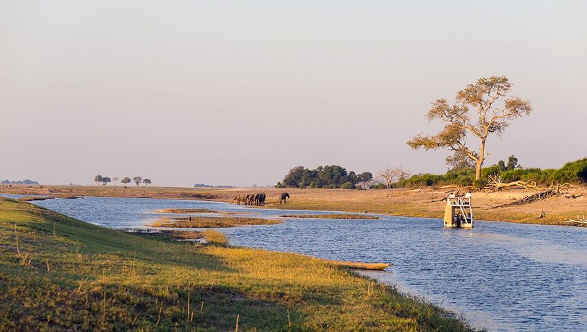 Chobe River with elephants in distance. 