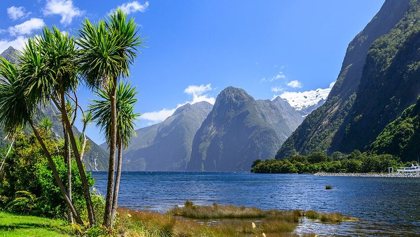 Palm trees next to water with mountains in distance.