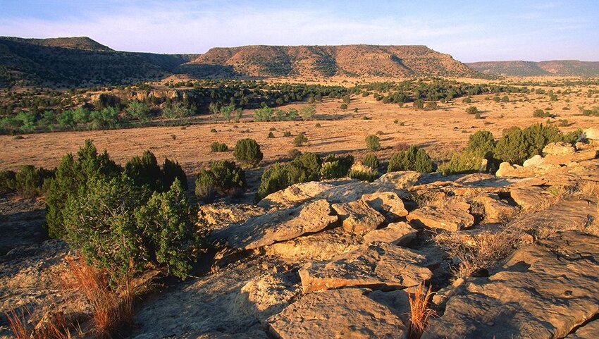 Landscape and Black Mesa in the distance.