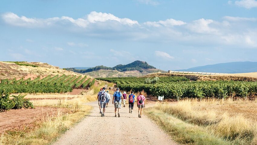 Group walking the Camino de Santiago along wheat fields and vineyards in la rioja region, Spain.