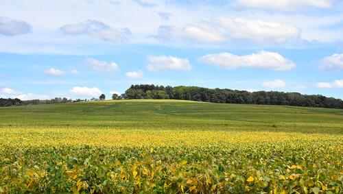 Charles Mound in Illinois.