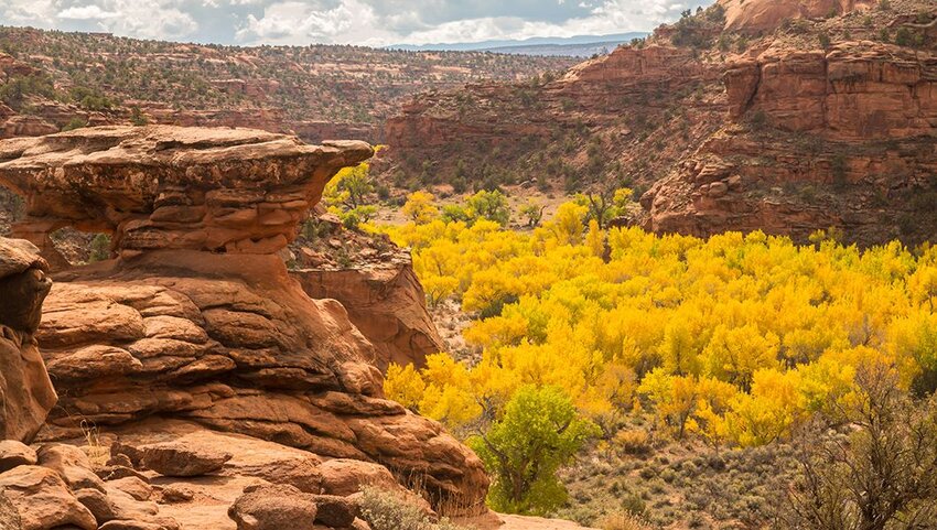 Mountain rock formations in autumn Grand Staircase-Escalante National Monument.