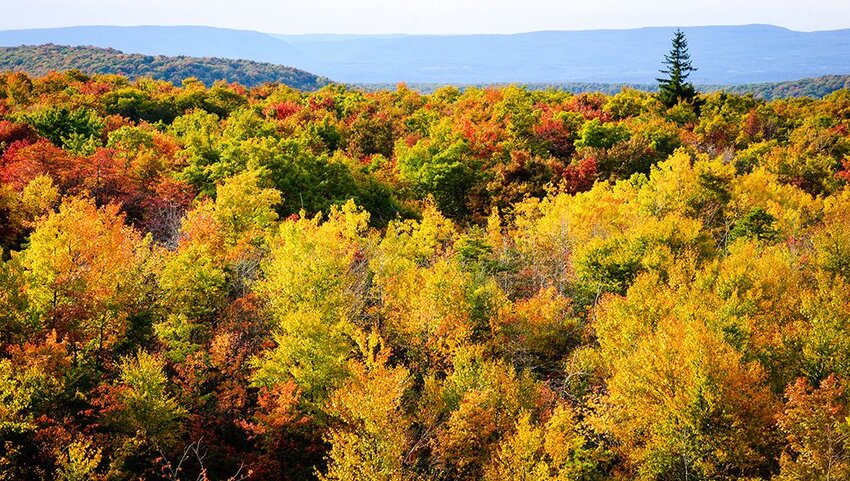 Mount Davis in the fall.