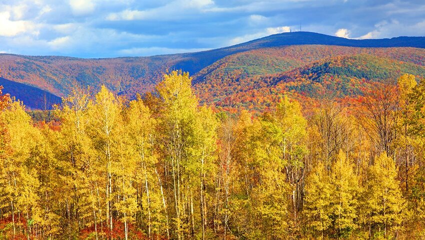 Mount Greylock in fall. 