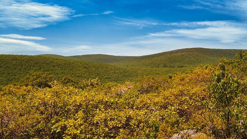 Mount Frissell landscape.