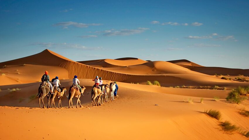 Group of people riding camels through Sahara Desert.