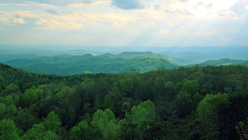 View of trees and other mountains from the top of Sassafras Mountain. 