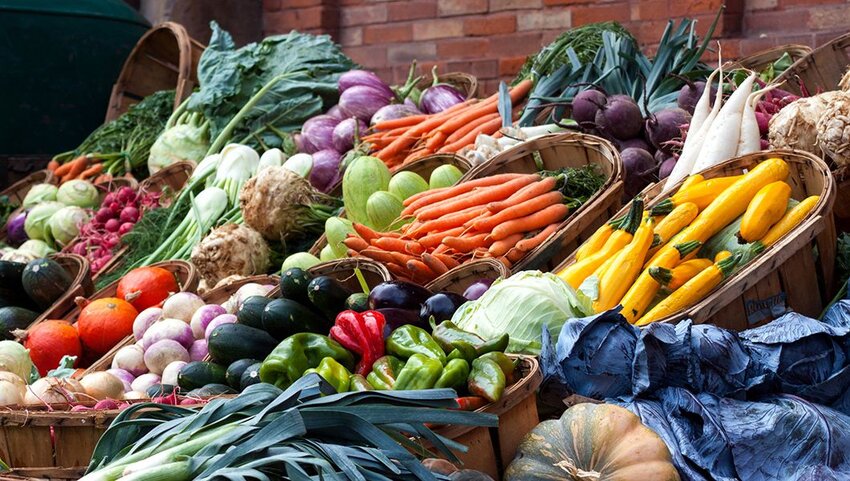 Fresh vegetable in baskets at market in France.