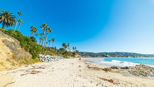 View down Laguna Beach with ocean on one side and rocky palm tree lines landscape on other.