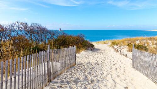 A pathway to the shore at the Delaware seaside with a view of a lighthouse in distance. 