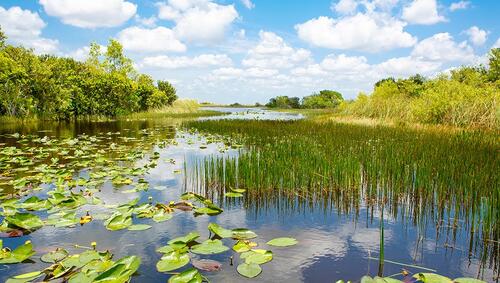 Everglades National Park.