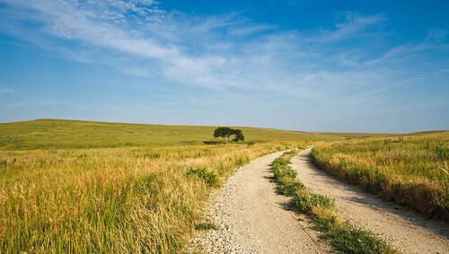 Gravel road through high grass in the Flint Hills of Kansas.